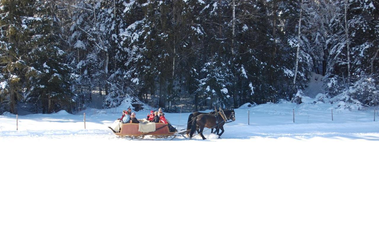 Bauernhof Kotz Bed & Breakfast Brunnen Екстериор снимка